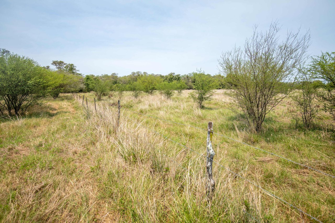 Green DeWitt Rd | 40.82 Acres | DeWitt County