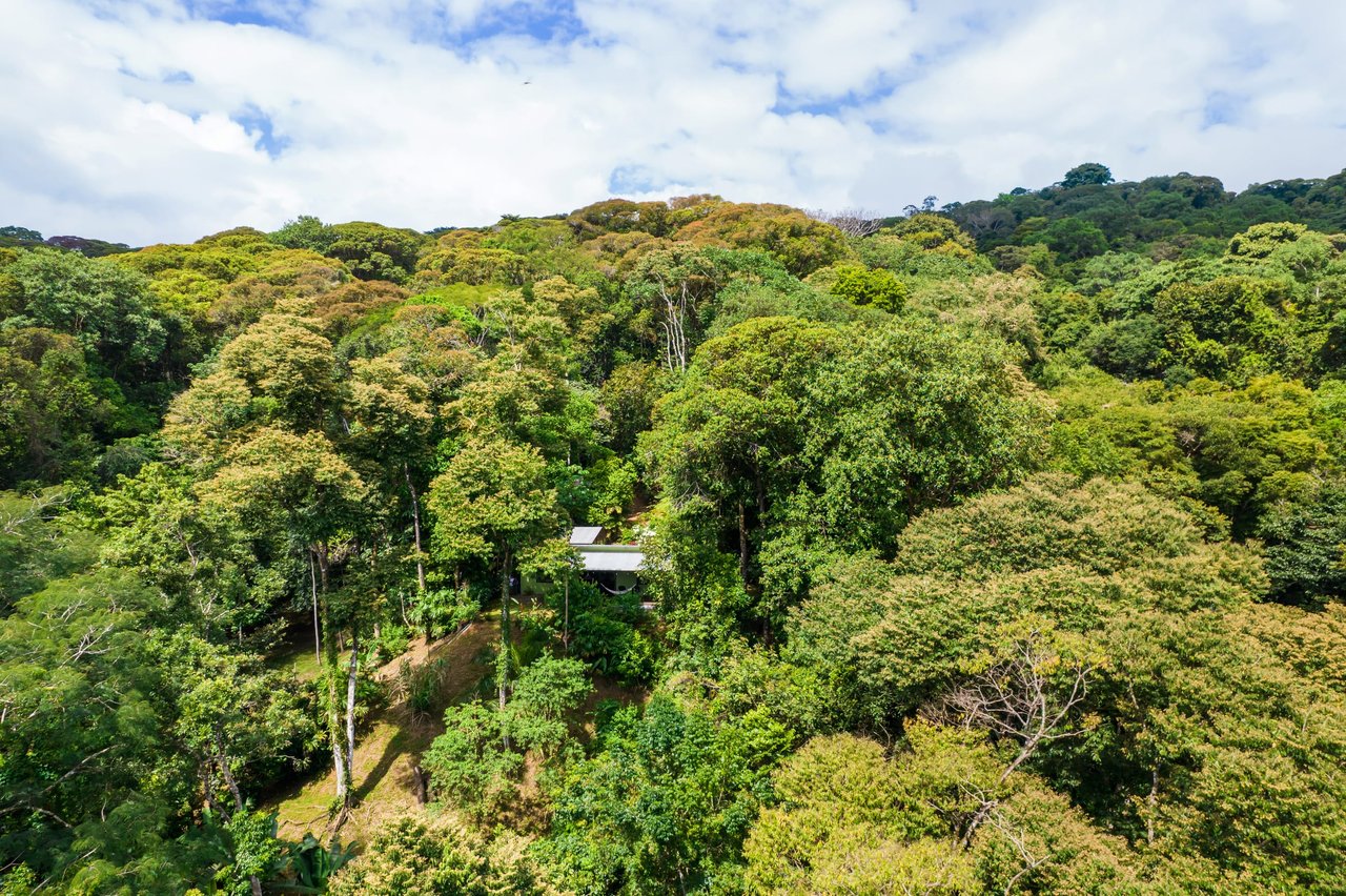 Tropical Villas on 11 Acres of Jungle. Great Location for a Retreat!