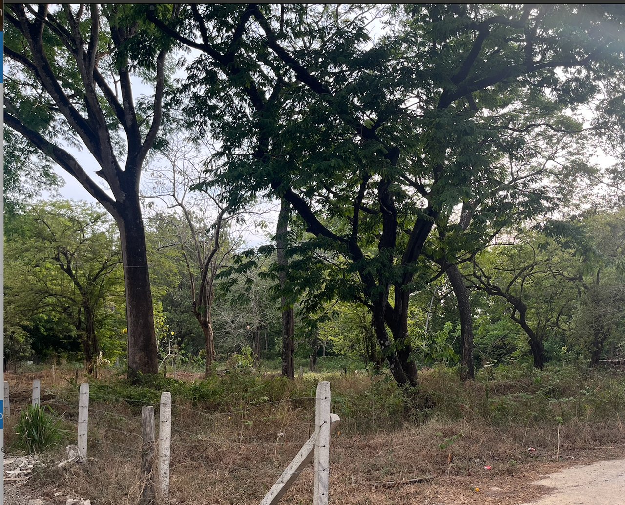 Tropical Development Parcel, Nosara, Guanacaste
