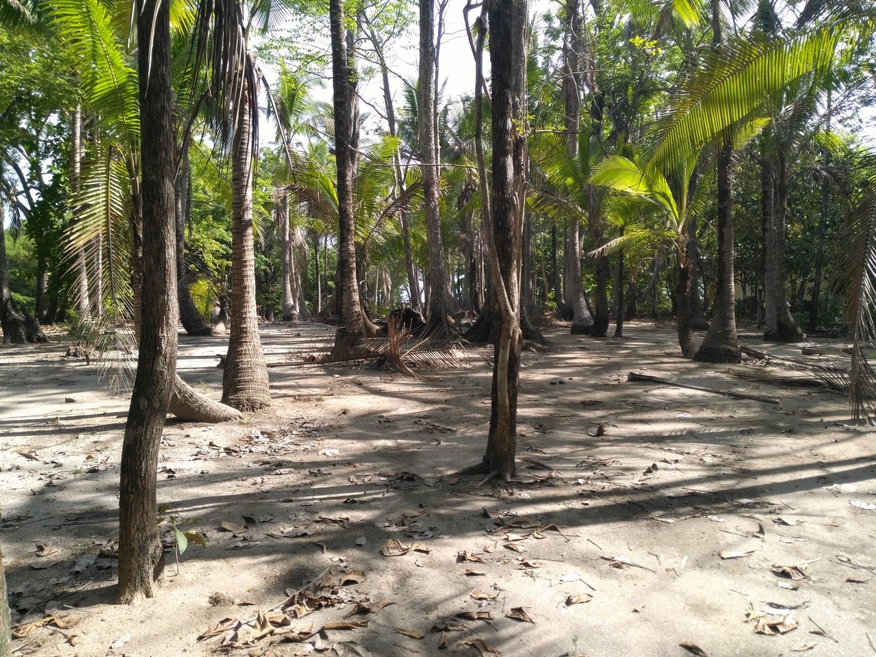 Private Secluded Beachfront Lot, Santa Teresa, Puntarenas
