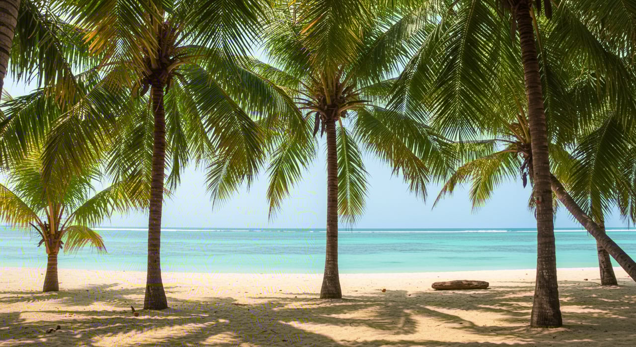 How to Own Your Dream Home in Palm Beach County: A Step-by-Step Guide