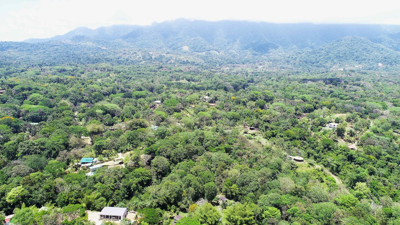 Over One Acre Attractive Lot on the Popular PEREZOSO Road.