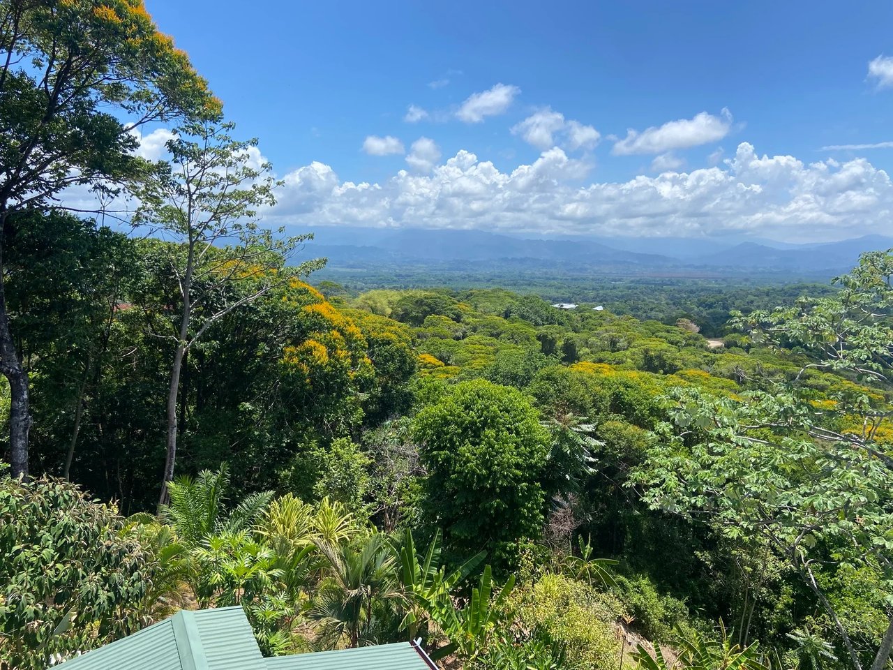 Gated Multi Unit Rental Estate, Manuel Antonio, Puntarenas