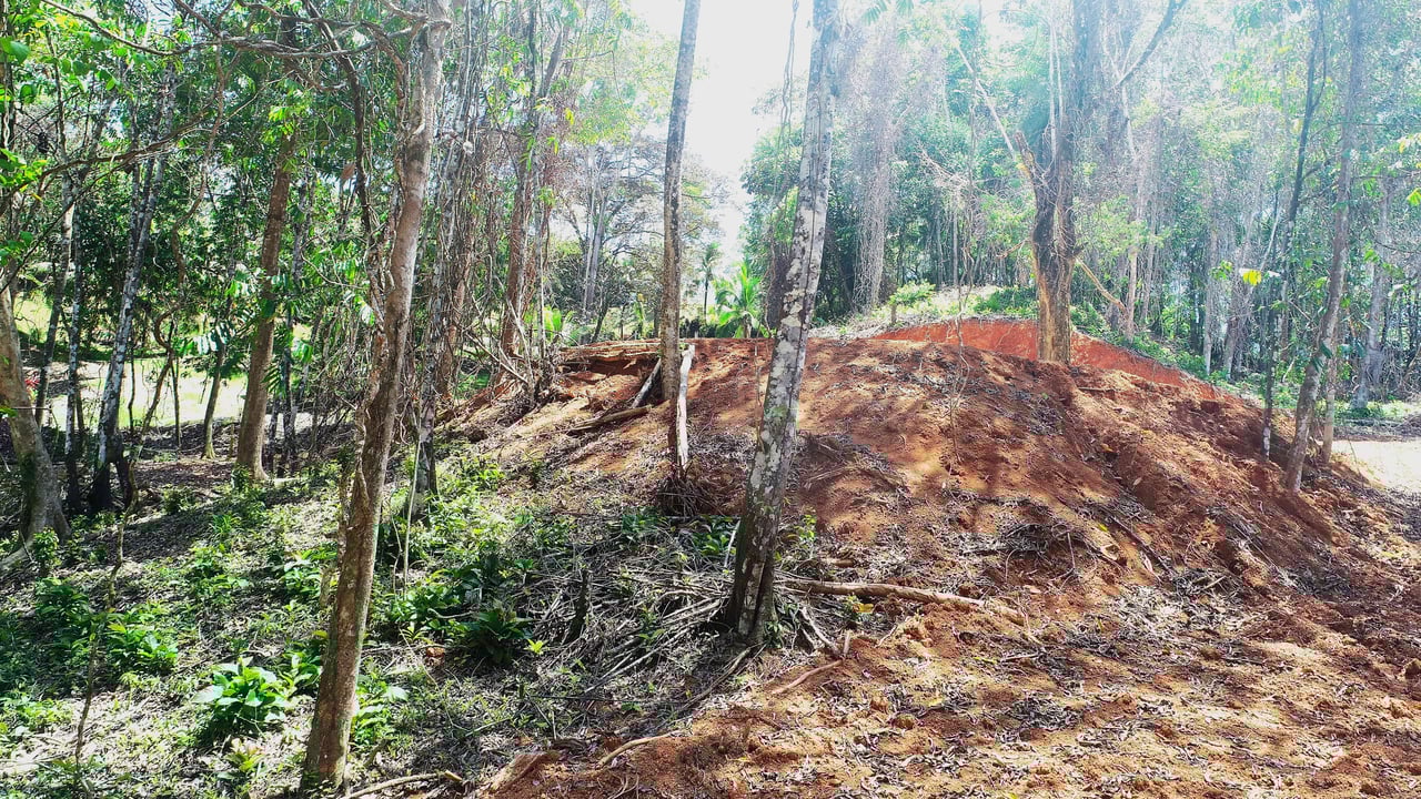 Over One Acre Attractive Lot on the Popular PEREZOSO Road.