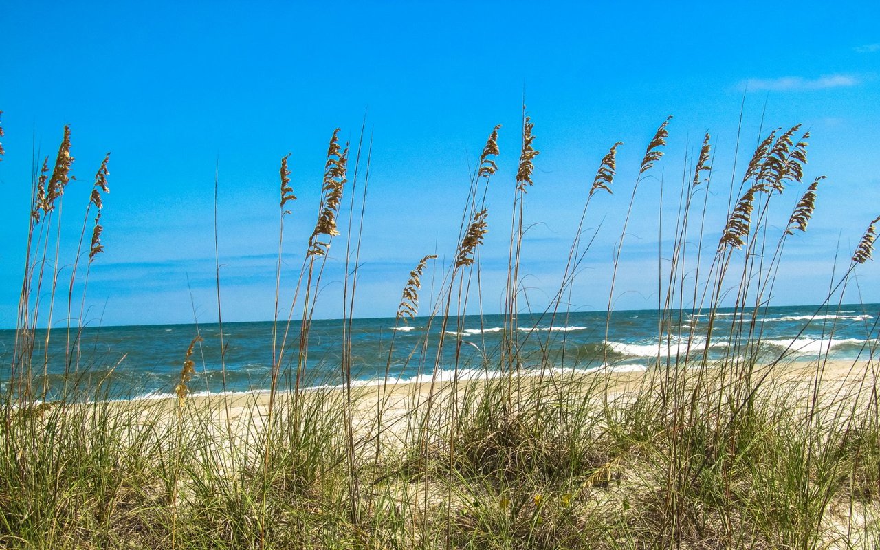 Pawleys Island