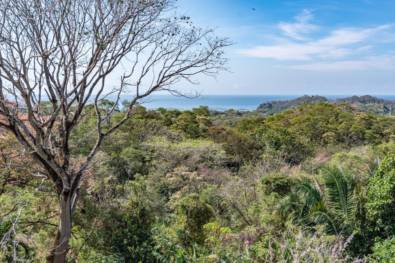 Villa Martina / Samara, Guanacaste