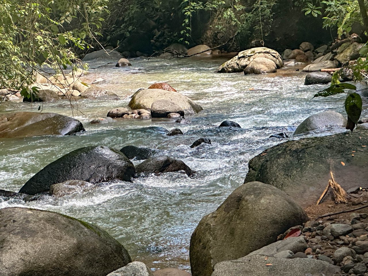 Rainforest Home with River, Jungle Trails & Pool in Ojochal
