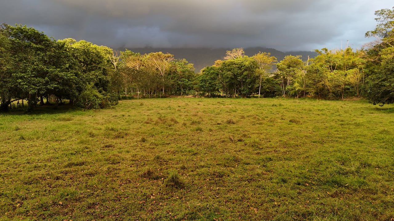 Over 5 Acres Farm in San Buenas