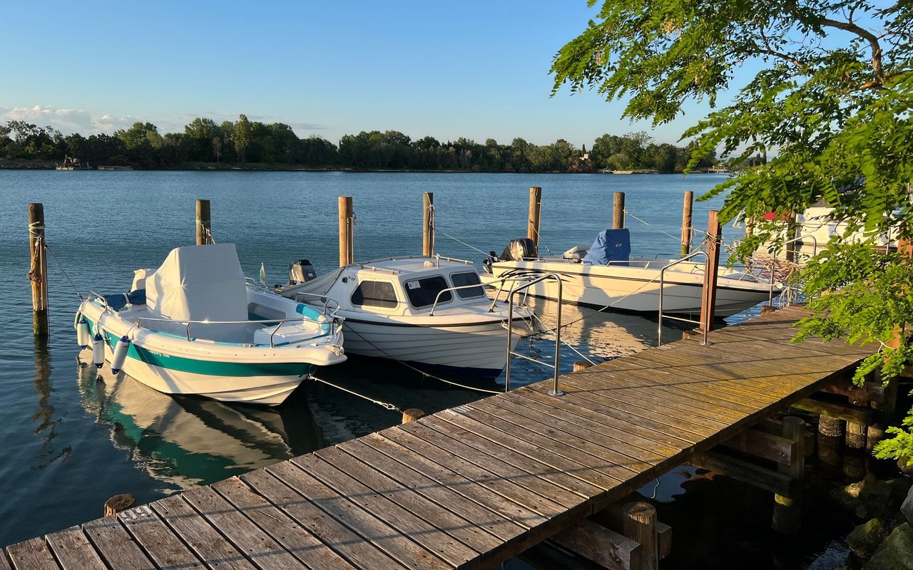 Boats moored beside a wooden dock on a tree-lined lake.