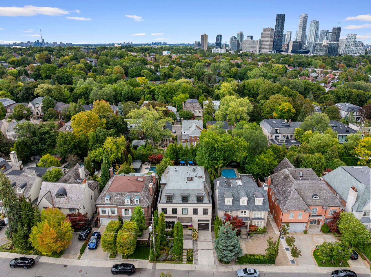 Forest Hill 