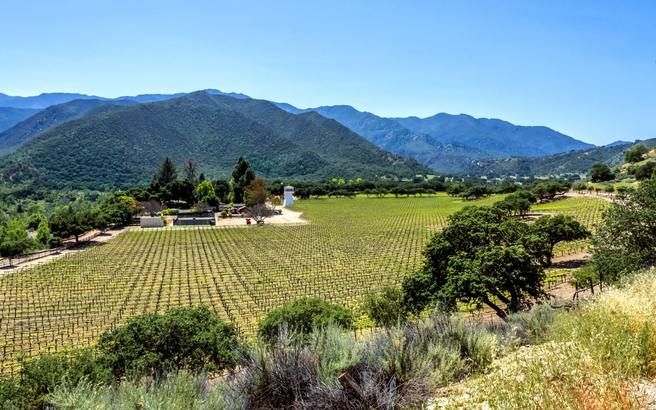 Carmel Valley