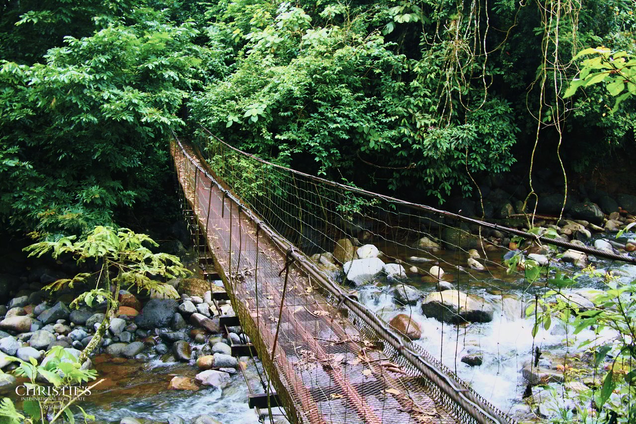 Finca Isla Rainforest Retreat – A Rare Income-Producing Paradise