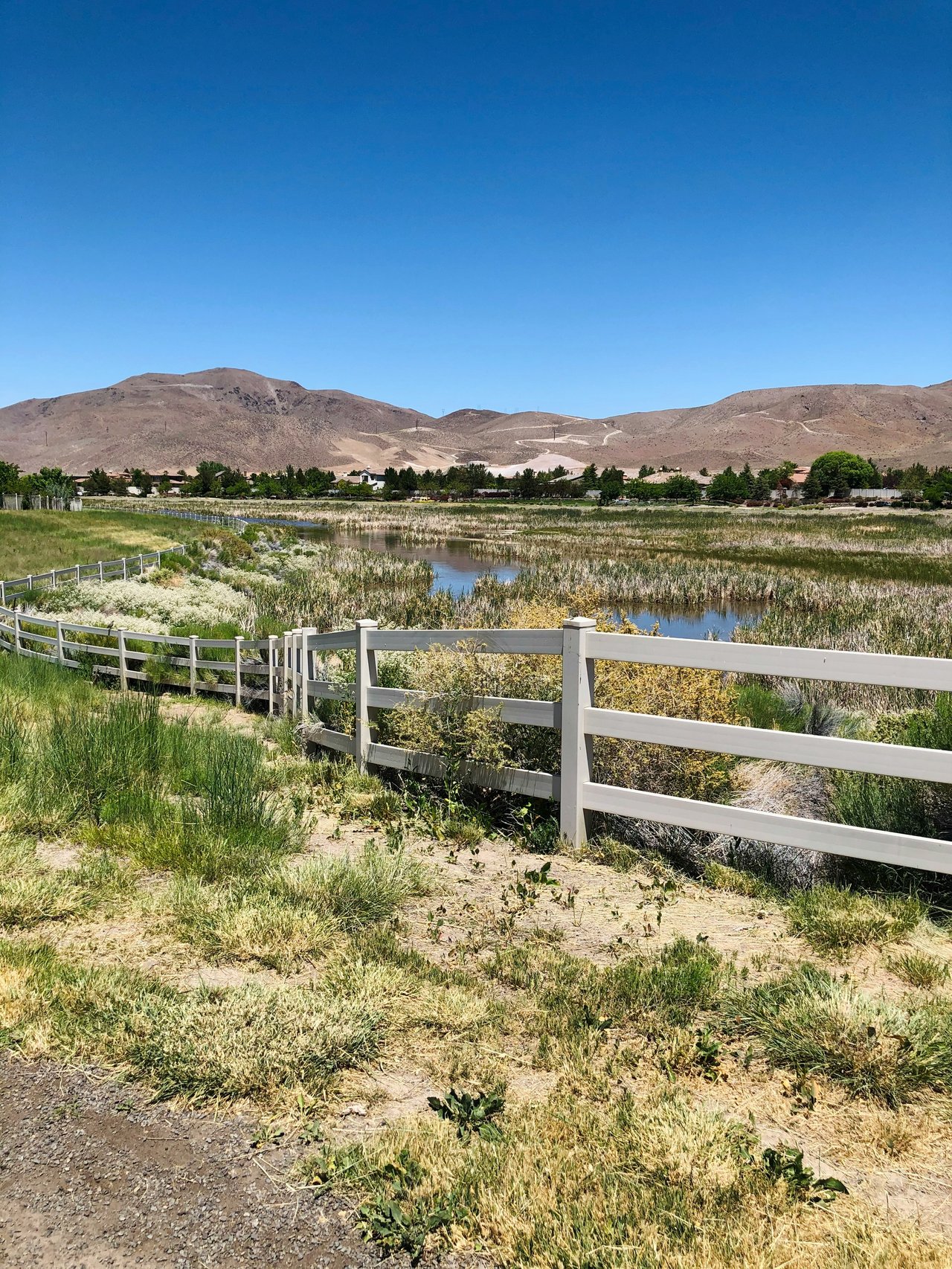 Double Diamond and Damonte Ranch
