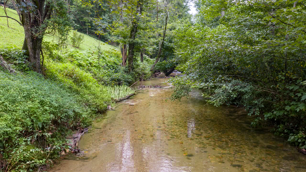 3175 Clear Creek Road