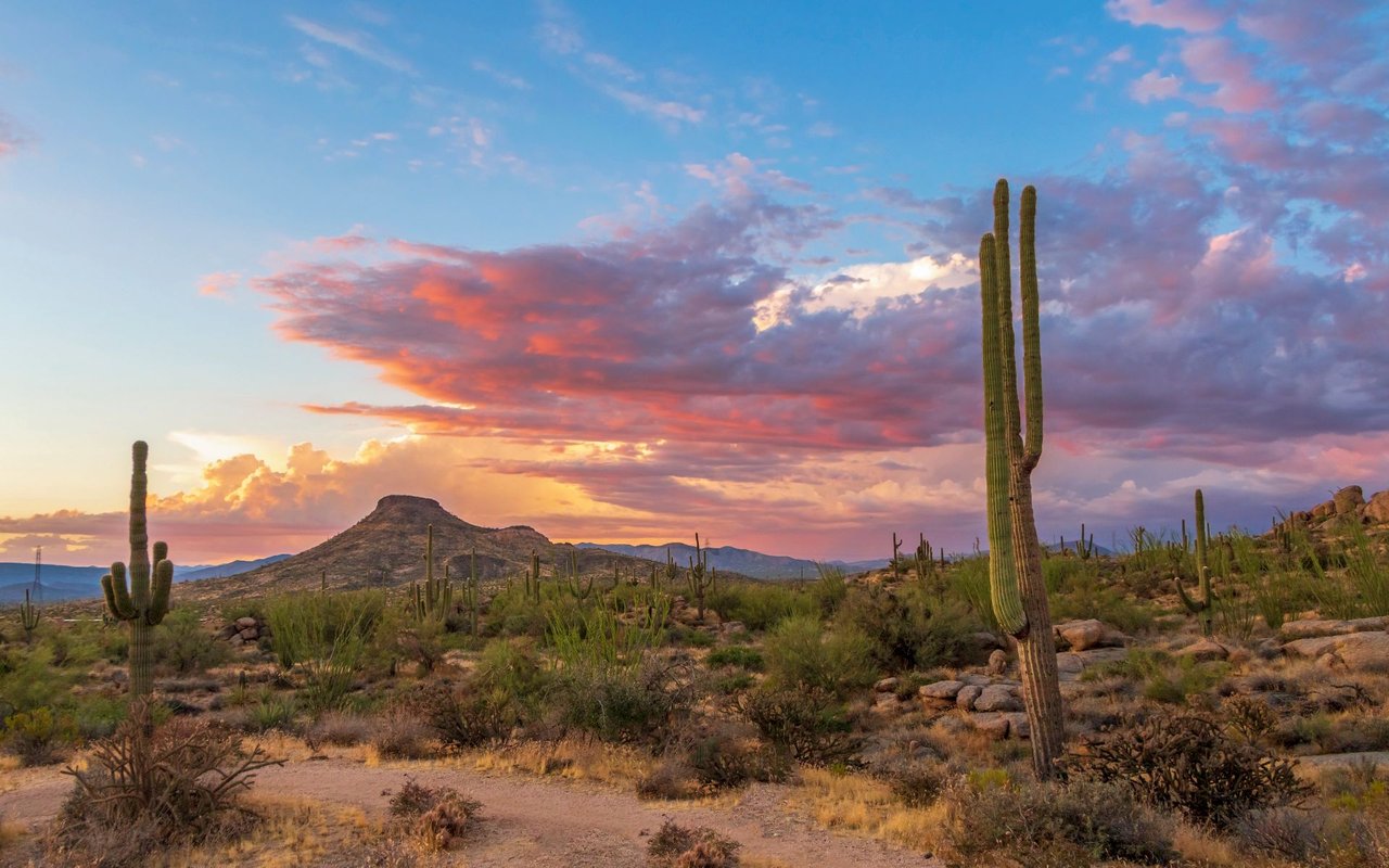 McDowell Mountain Ranch