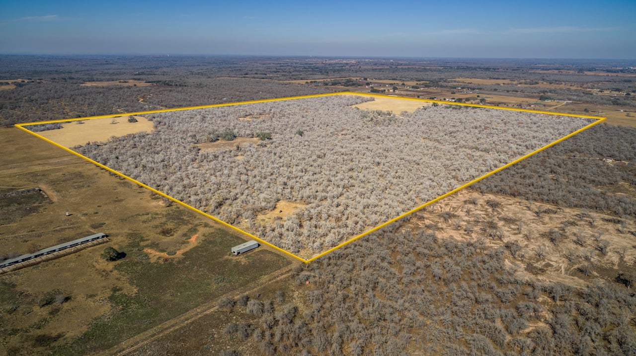Whispering Pines Floresville Ranch | 298± Acres | Wilson County