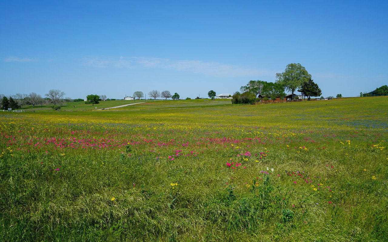 Bellville