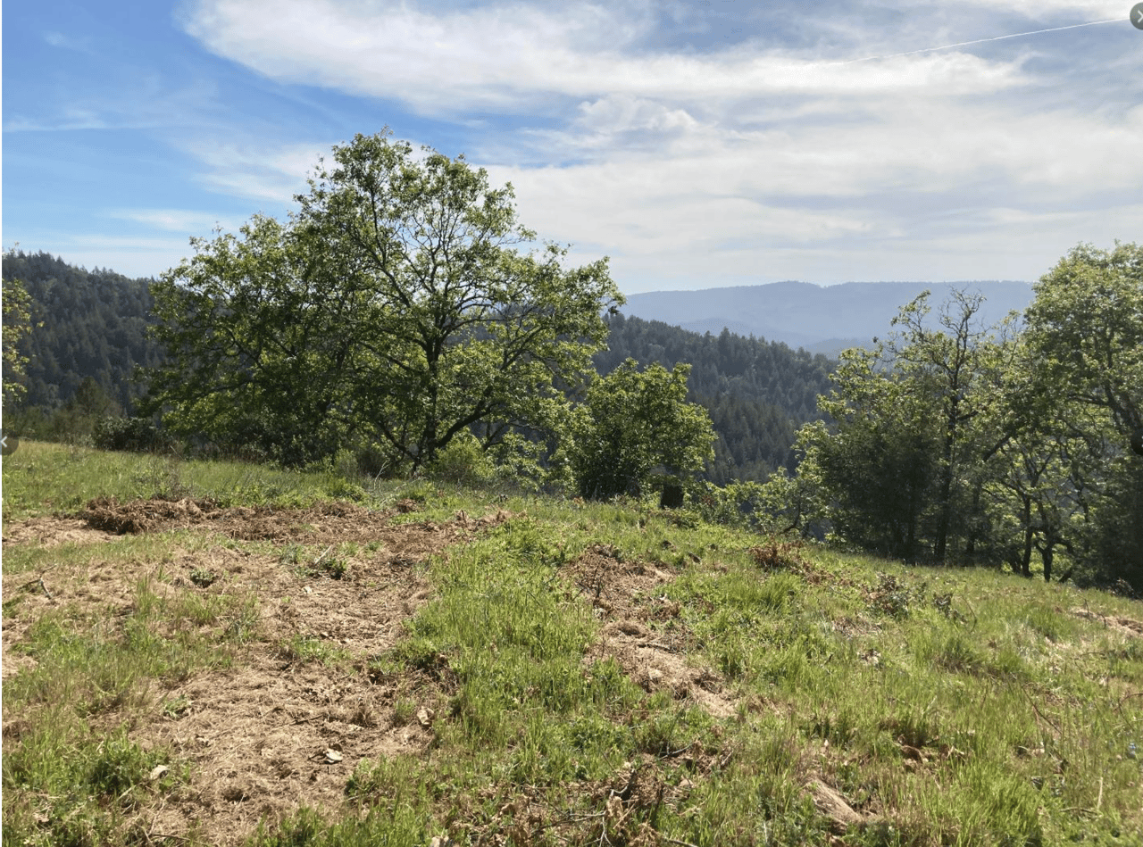 19089 Skyline Boulevard