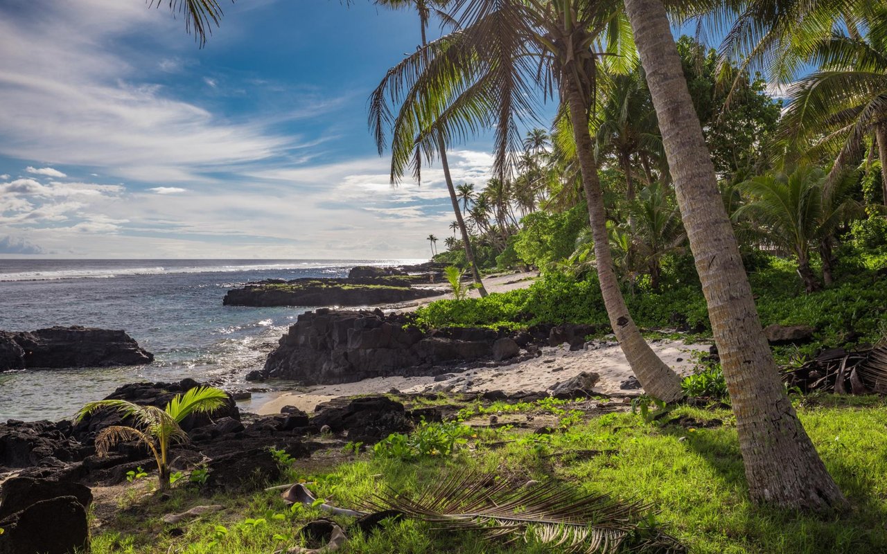 Rocky tropical shoreline with palm trees, sandy patches, and ocean water.