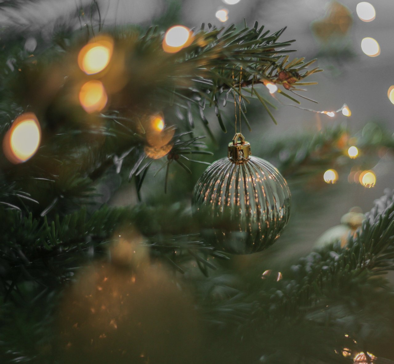 2025: A Year of Gratitude