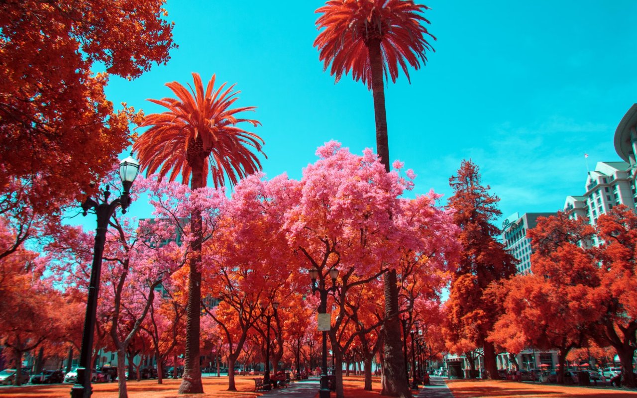 The Top Attractions in South San Jose For Locals or Tourists