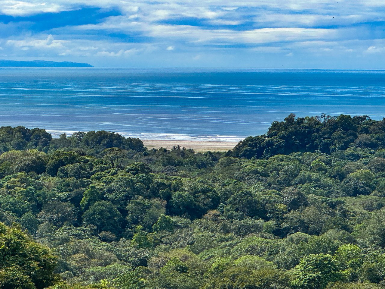 Brand New Oceanview Luxury Home- 'The Look of the Jaguar'
