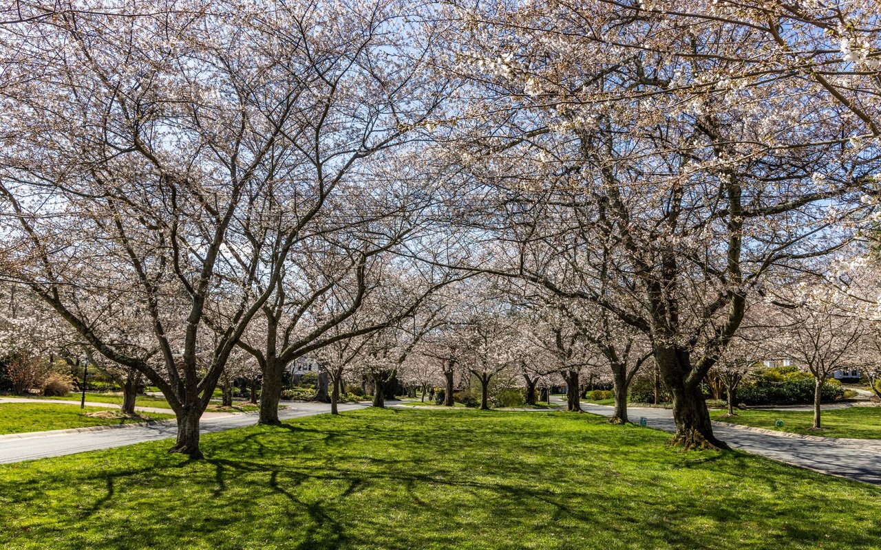 Beltsville/Laurel/Greenbelt