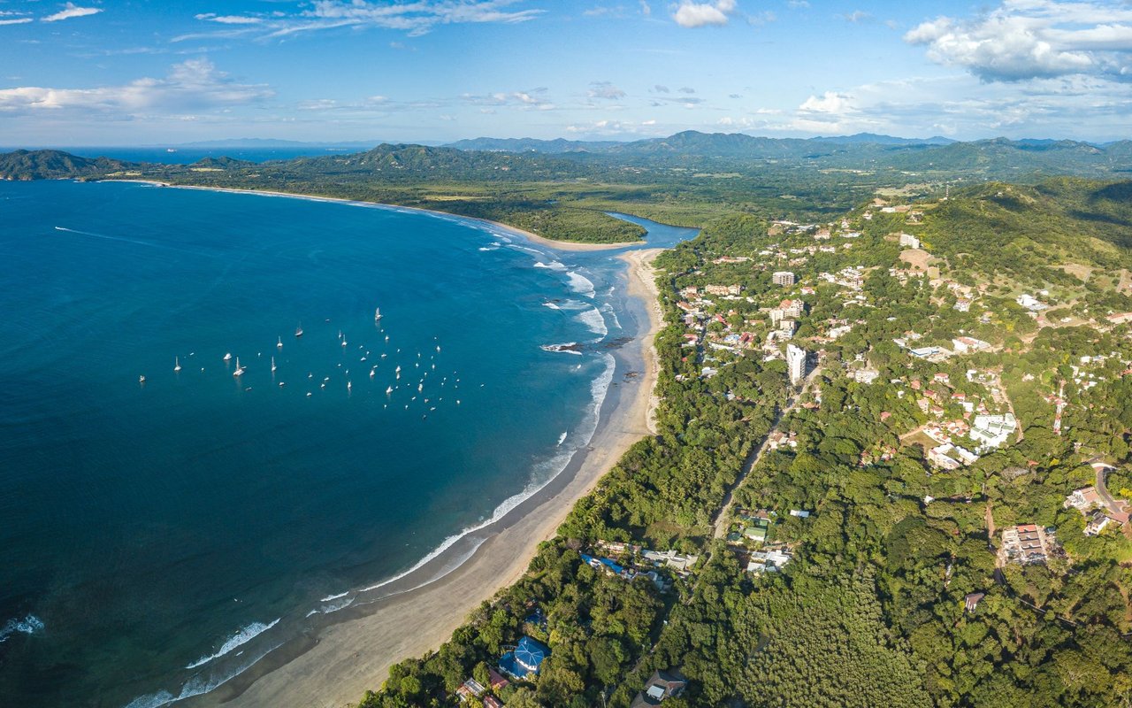 Tamarindo