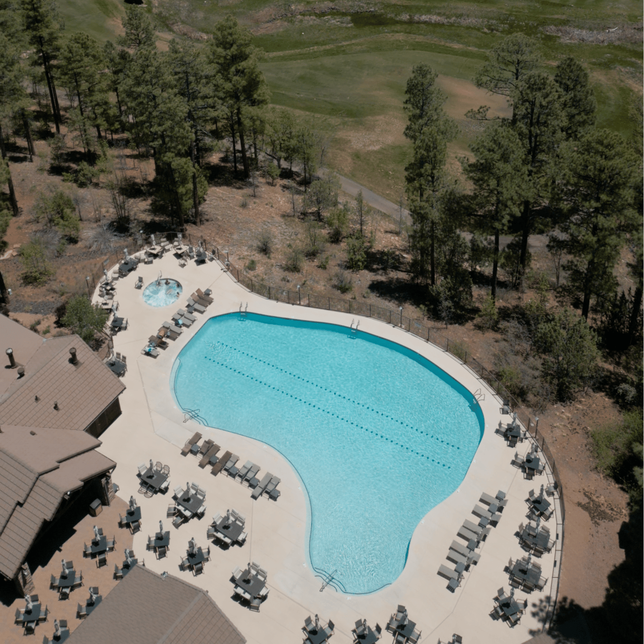 Home Search