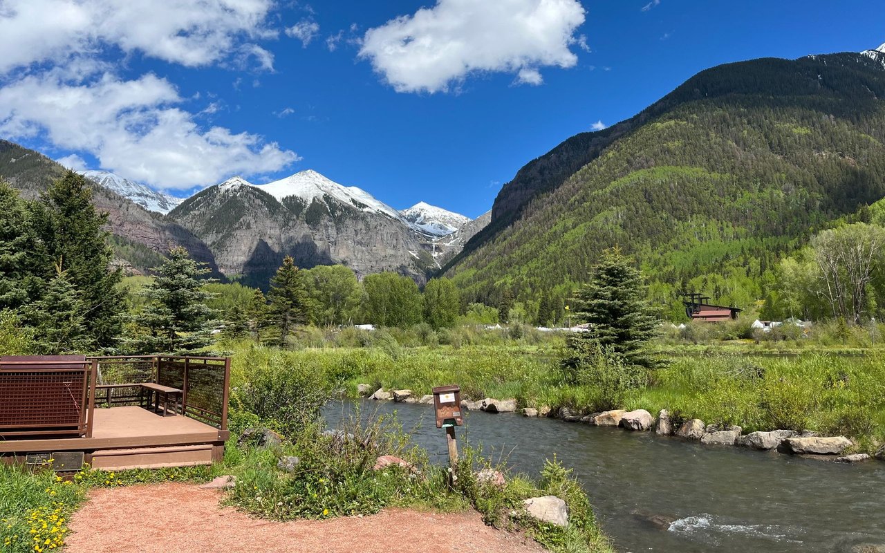 Turkey Creek