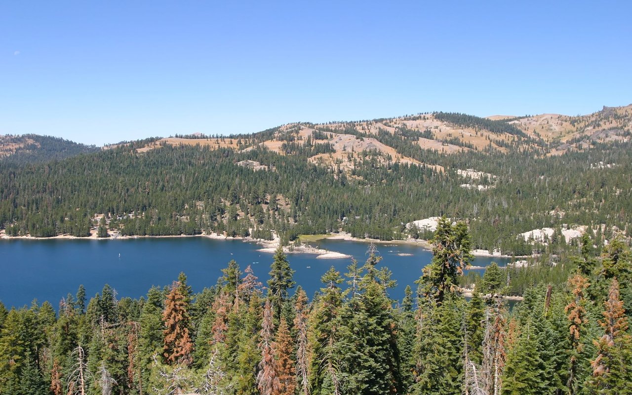 Bear Valley