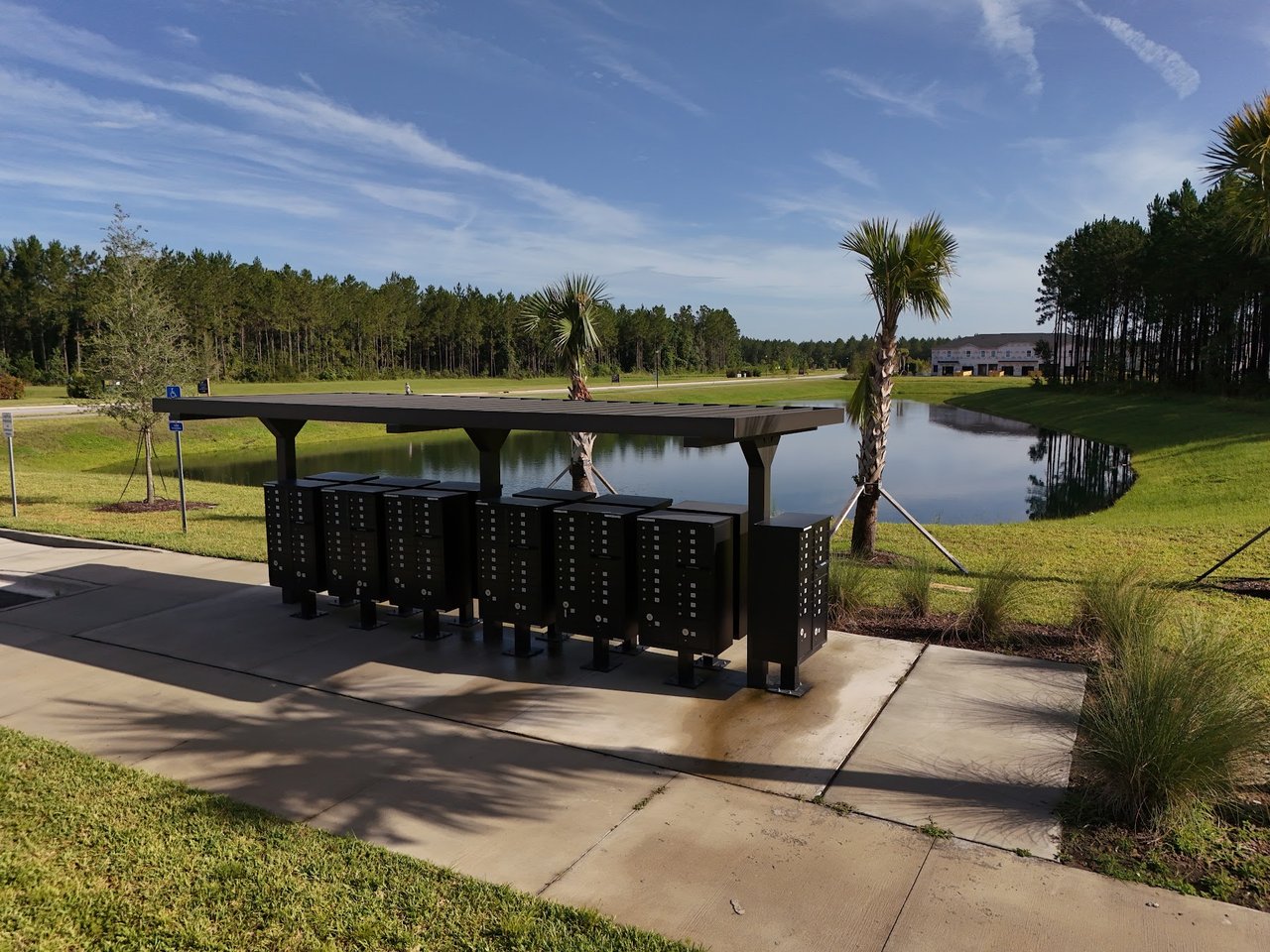Community mailboxes beside a pond, beneath a shelter with palm trees and pine trees nearby.