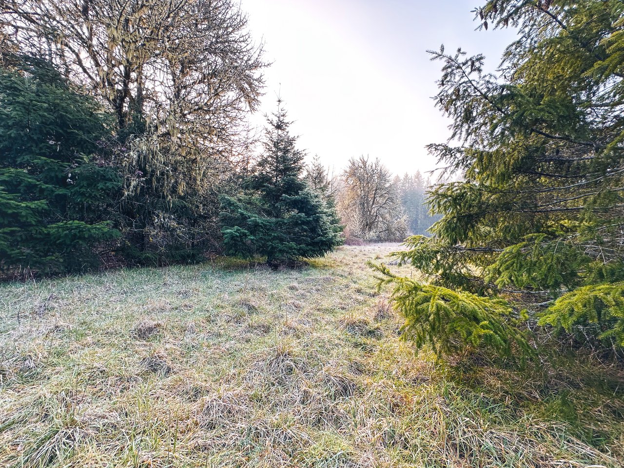 HARRIS FARM & FOREST