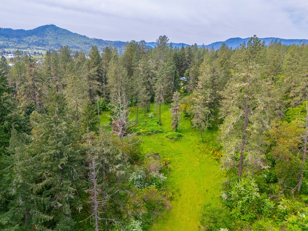 SUTHERLIN WOODLOTS