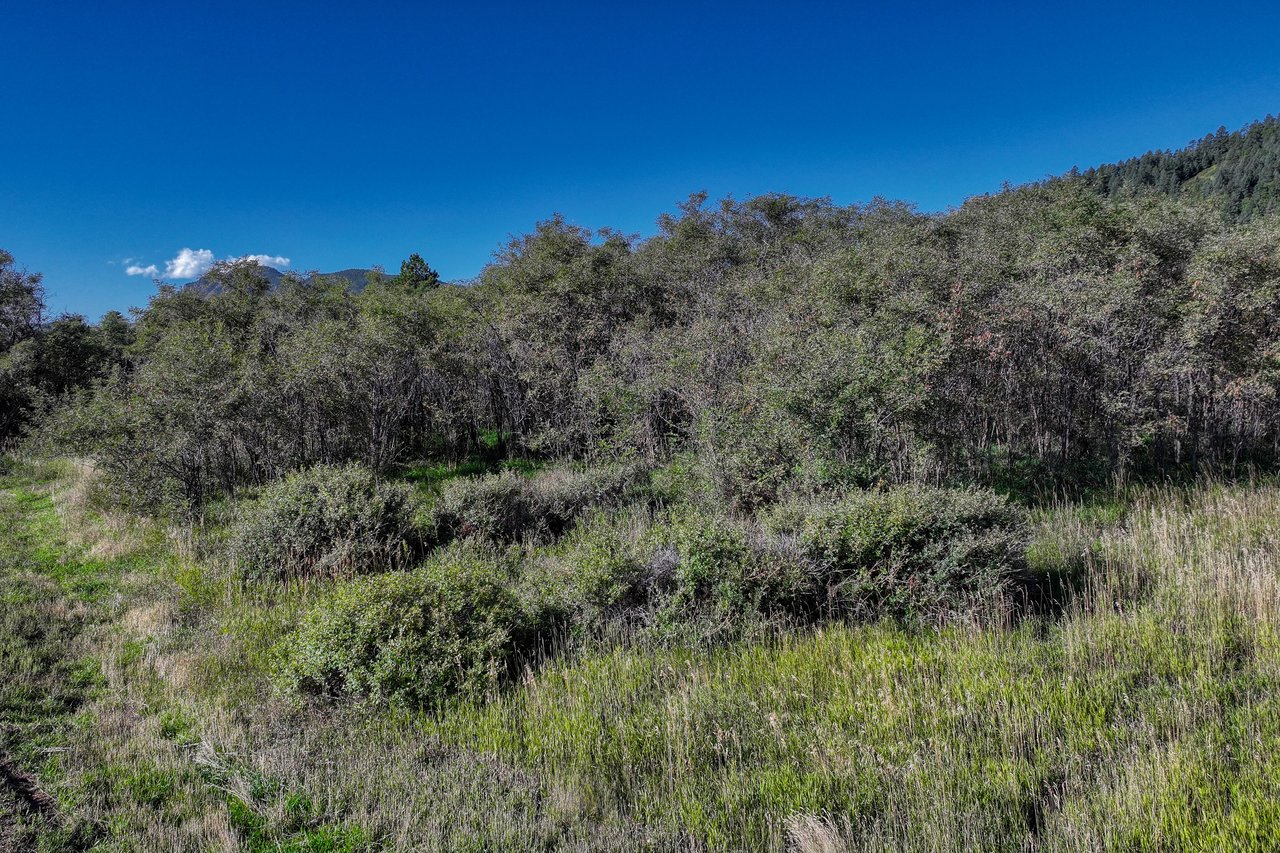 15989 S Perry Park Road