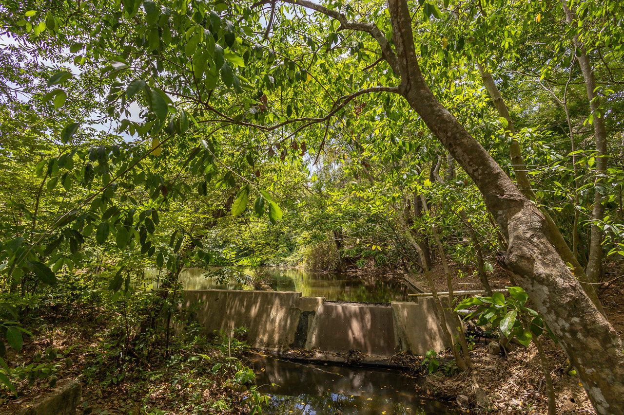 2.27 Acres close to Main Rd, Dixon Cove