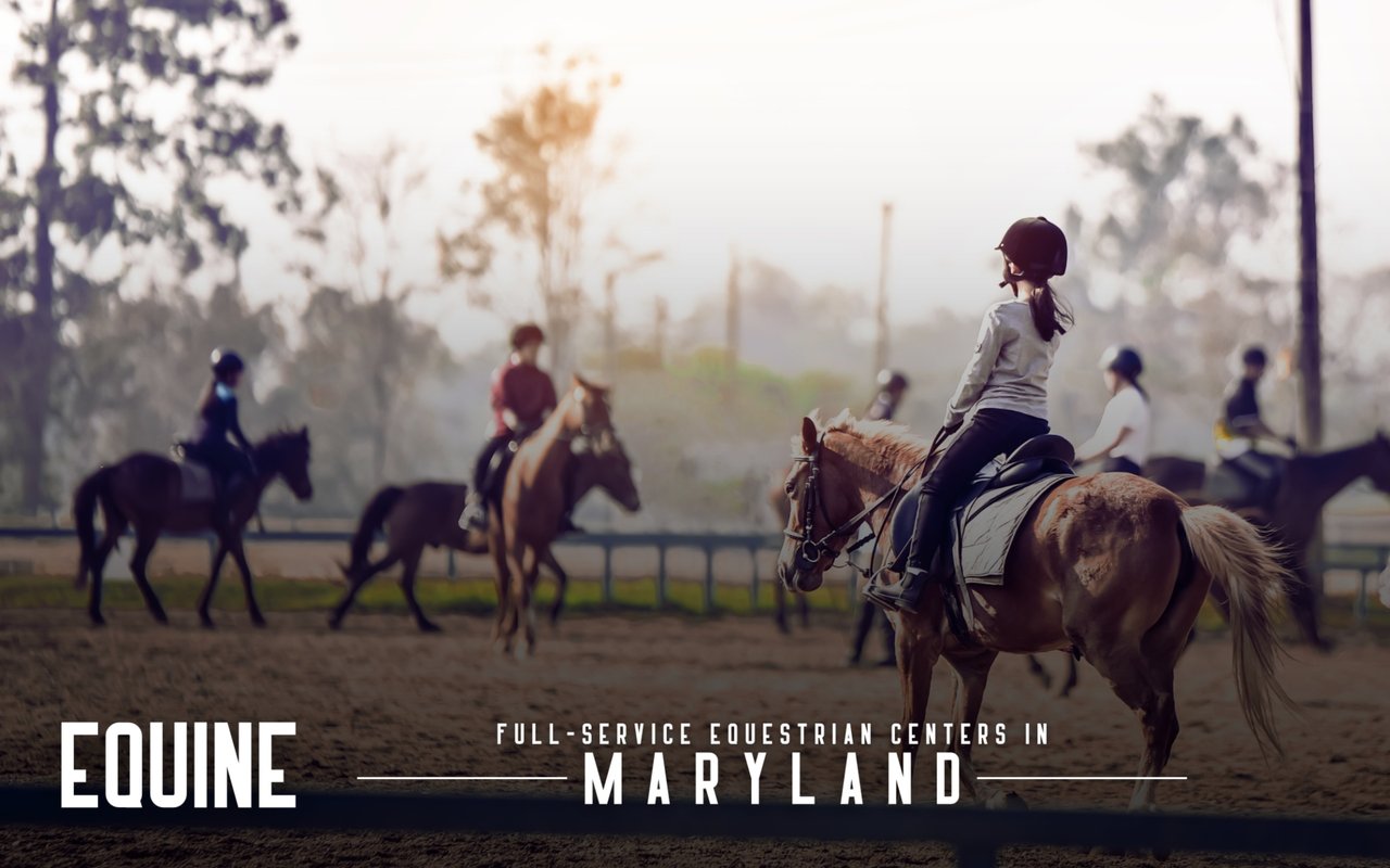Full-Service Equestrian Centers In Maryland
