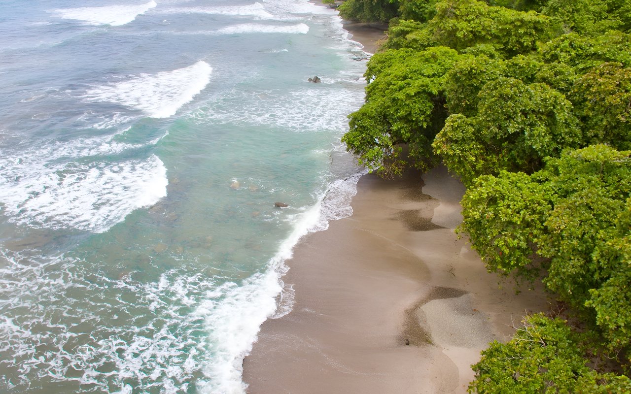 Uvita