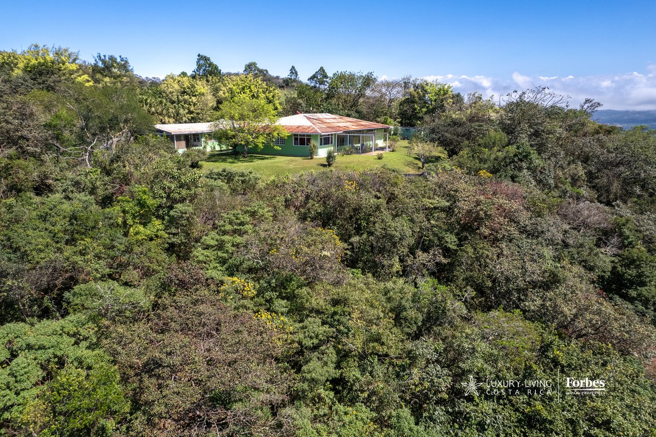 Aerial view of a green, single-story home in a forested clearing, with distant mountain ridges.