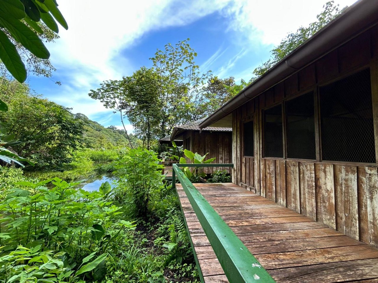 Sustainable Conservation Retreat, Osa, Puntarenas