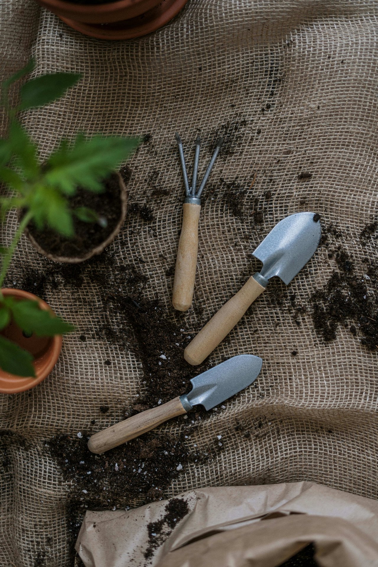 Garden Bed Preparation