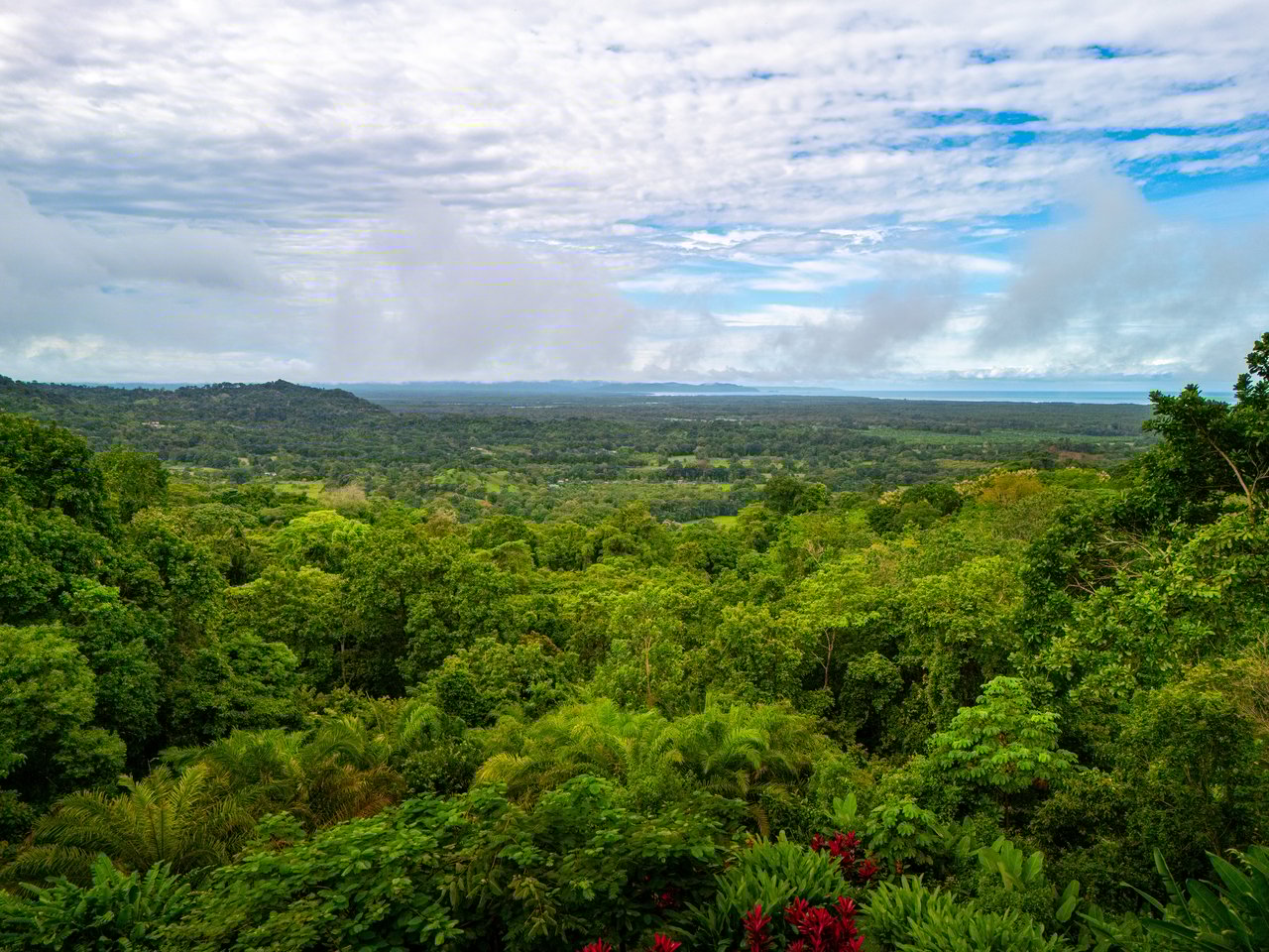 Casa Pacífica, Outstanding Ocean Views With 15 Acres! 4 Separate Lots!  
