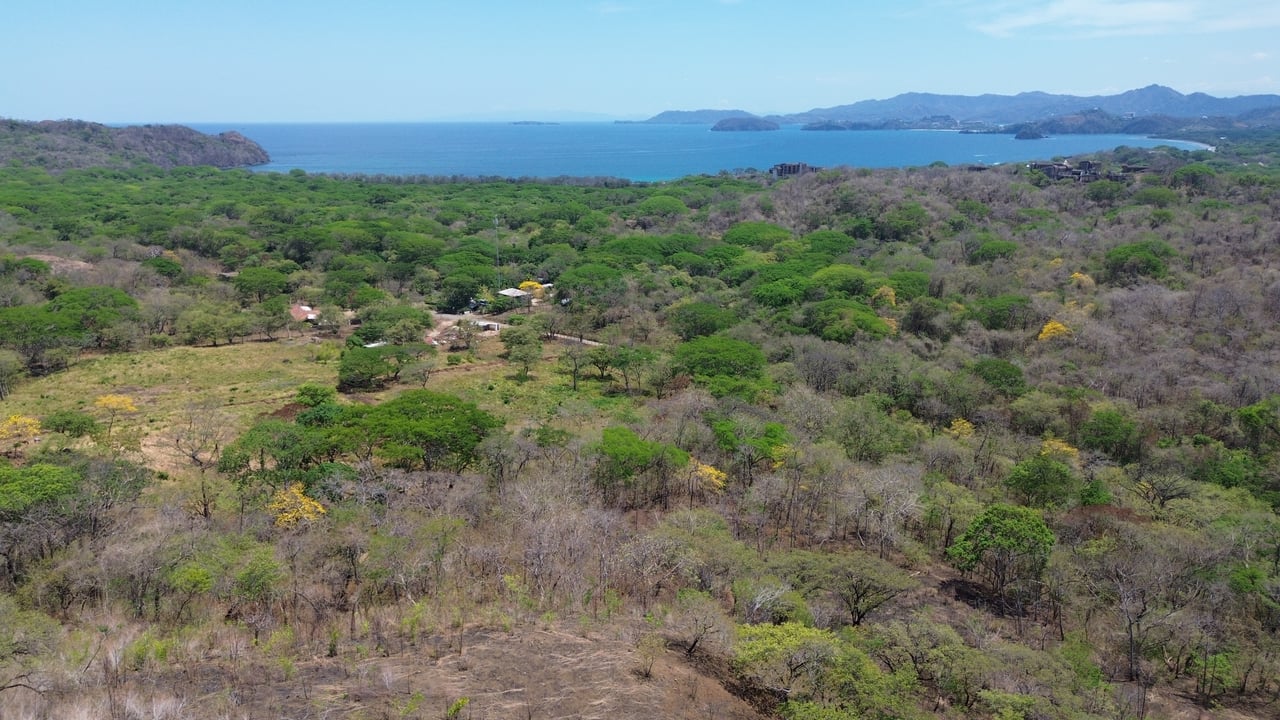 10 HECTARES DEVELOPMENT OPPORTUNITY - PUERTO VIEJO CONCHAL