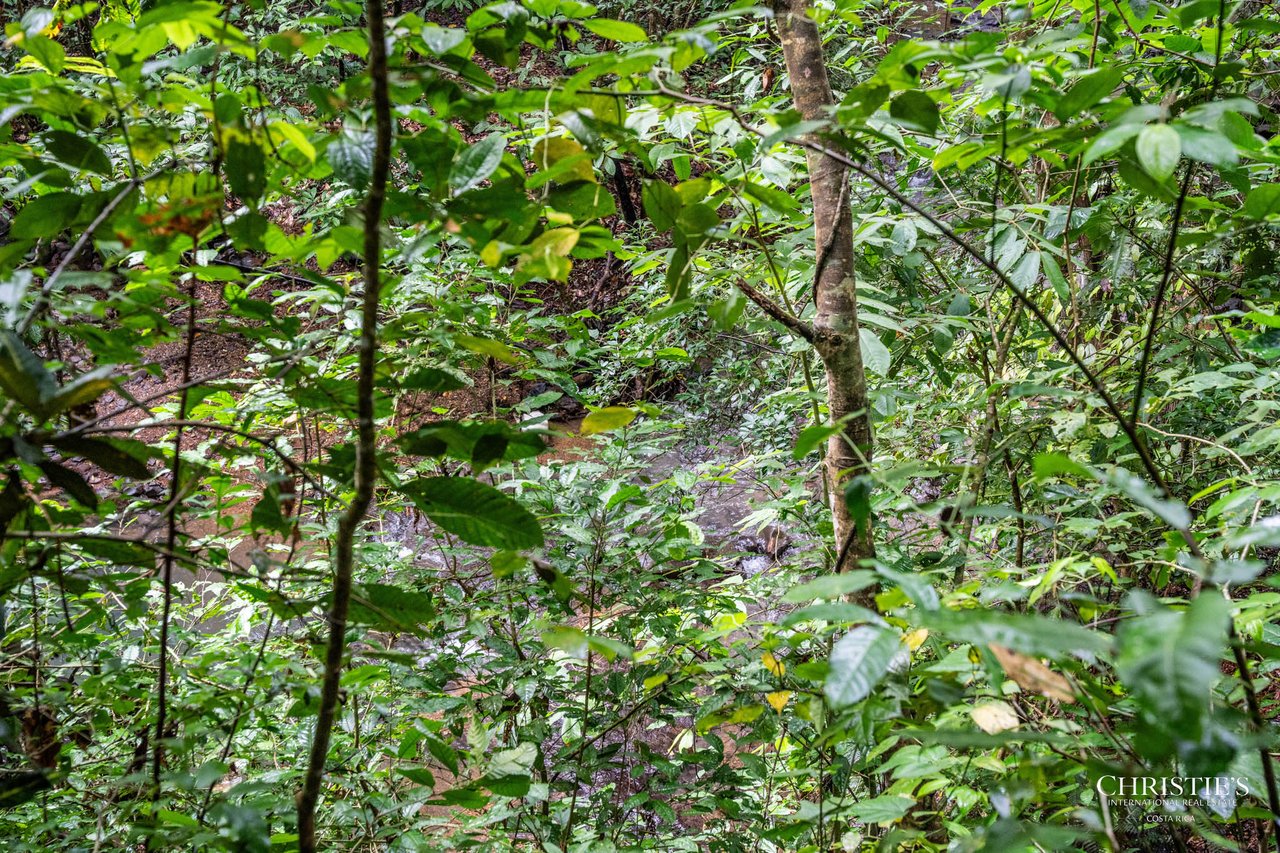 El Encanto Estate Waterfall, Regenerative Land & Carbon‑Neutral Sanctuary a Legacy Property
