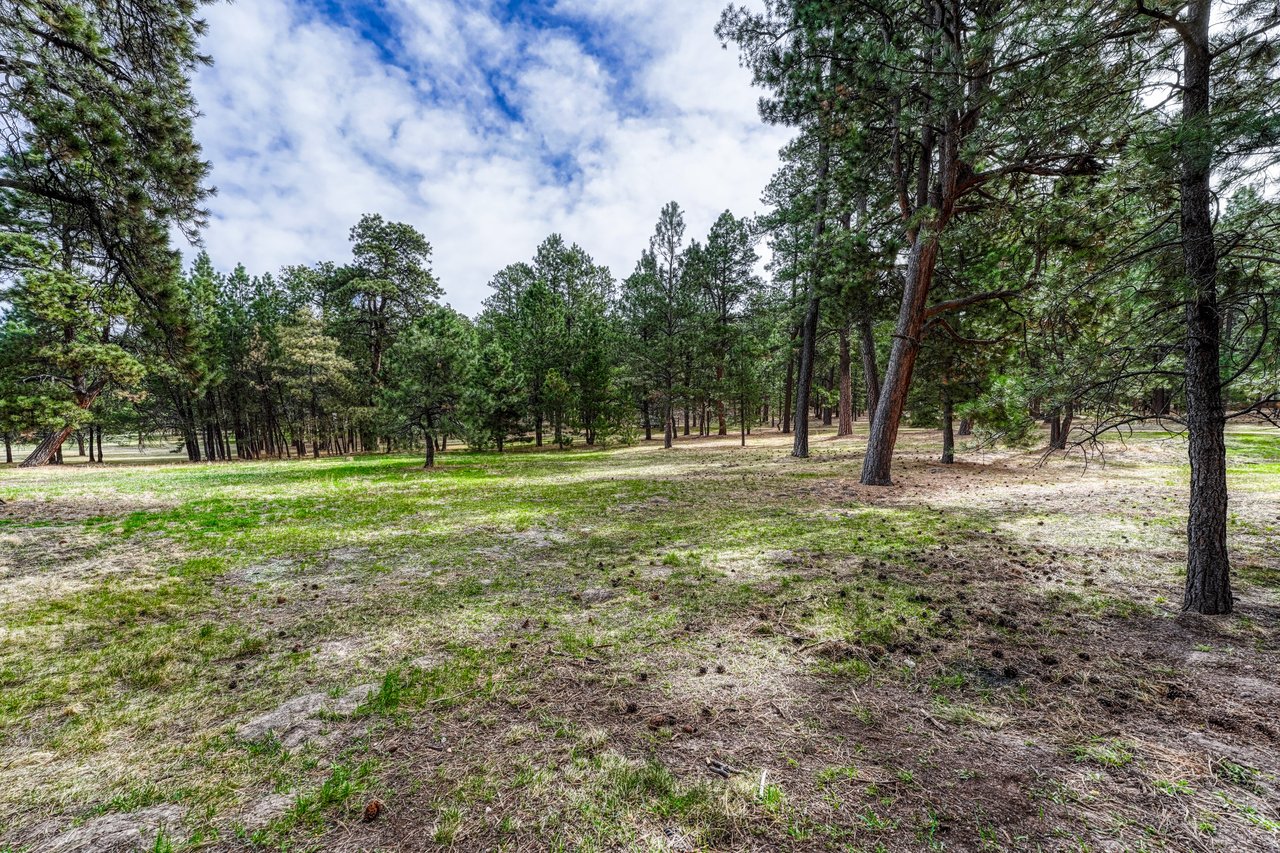 19825 Soaring Wing Drive