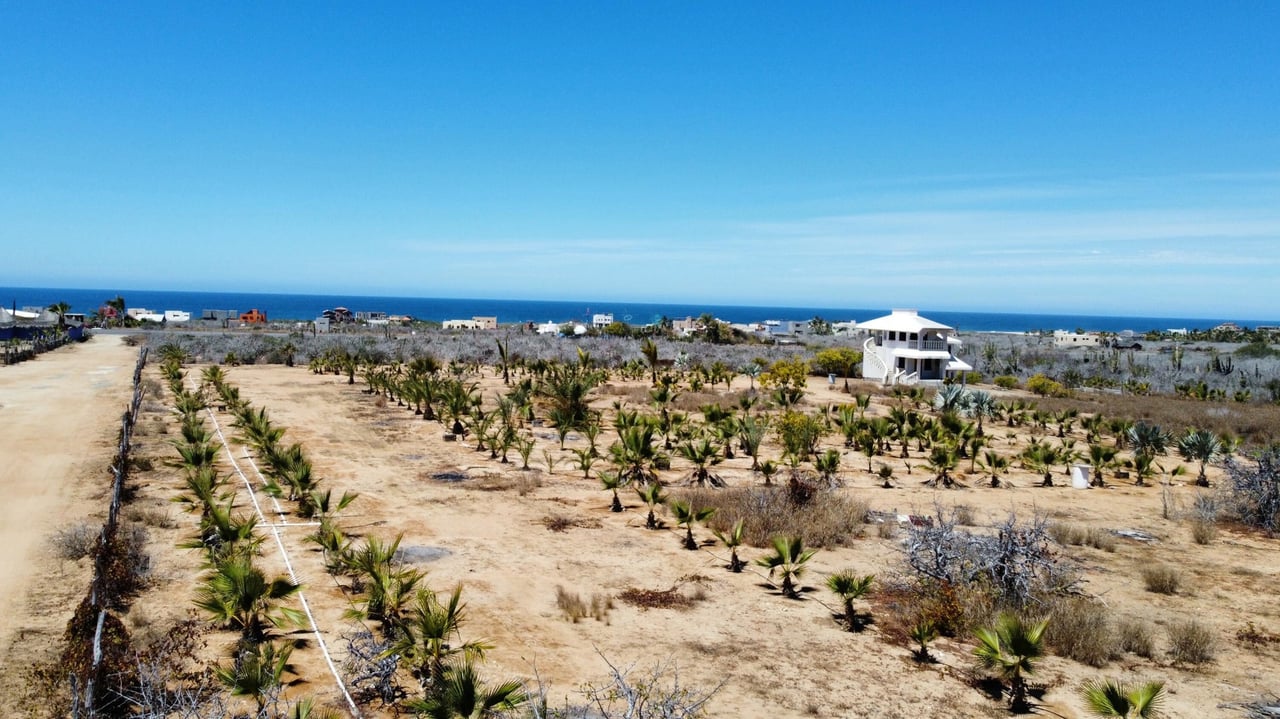 Pescadero Lote-297