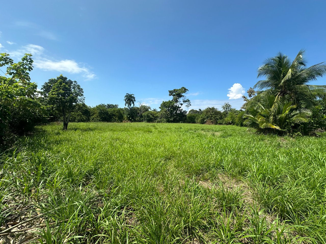 Prime Investment Property with Highway Frontage & Segregation Potential