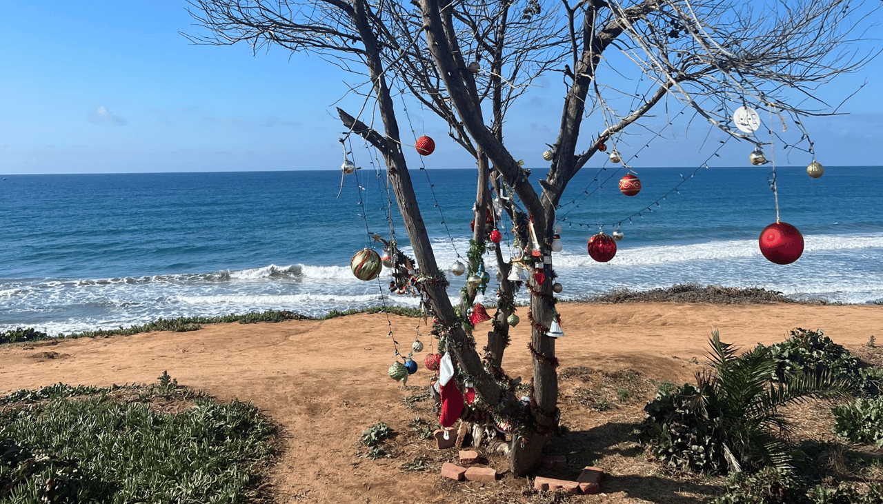 Sleigh Bells & Surfboards: Our Team’s Favorite San Diego Holiday Traditions!