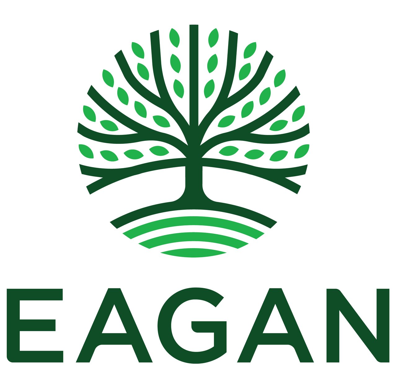 Eagan Lands $17 Million Data Center Deal