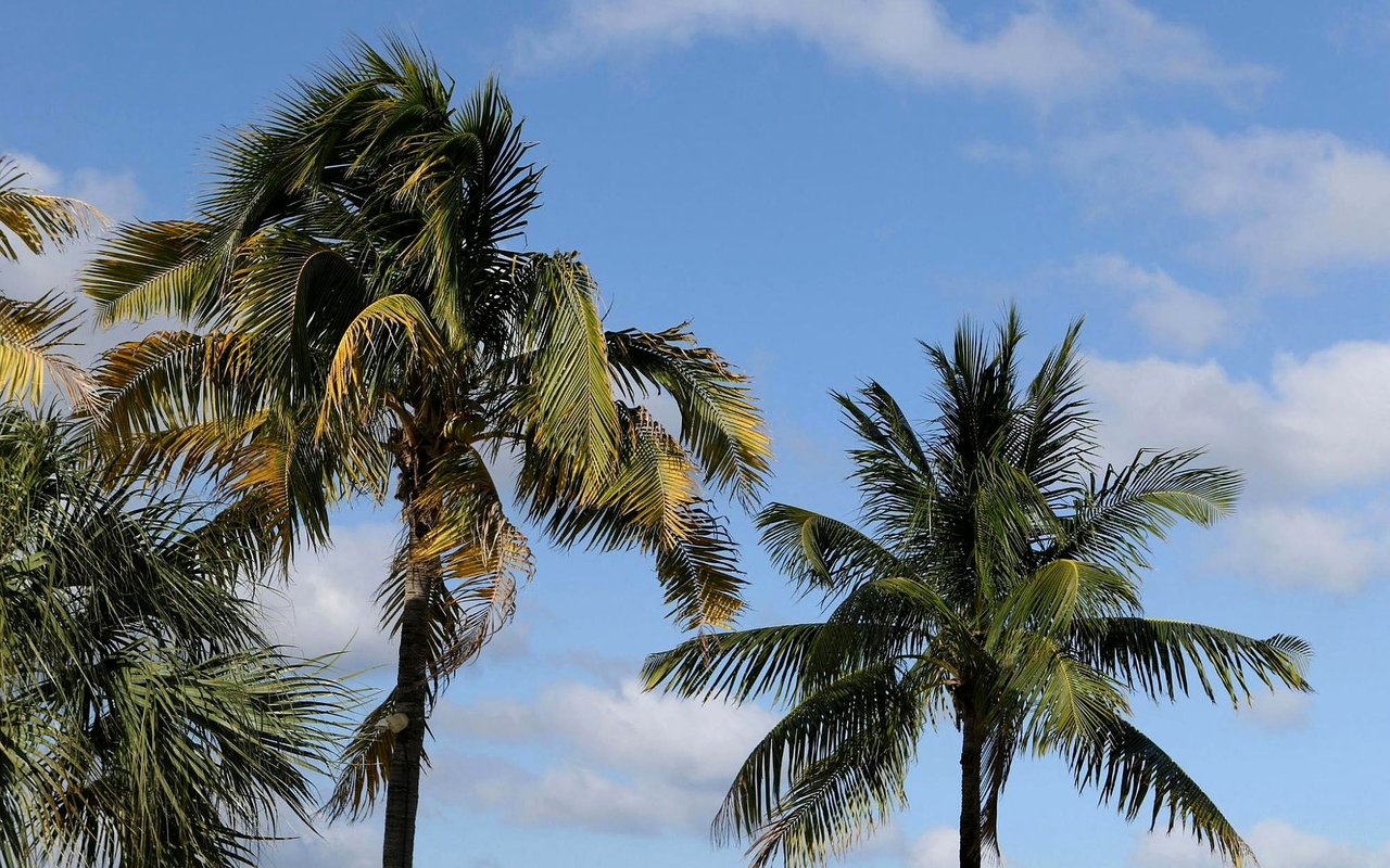 Love Where You Live: What Makes Sandestin So Special